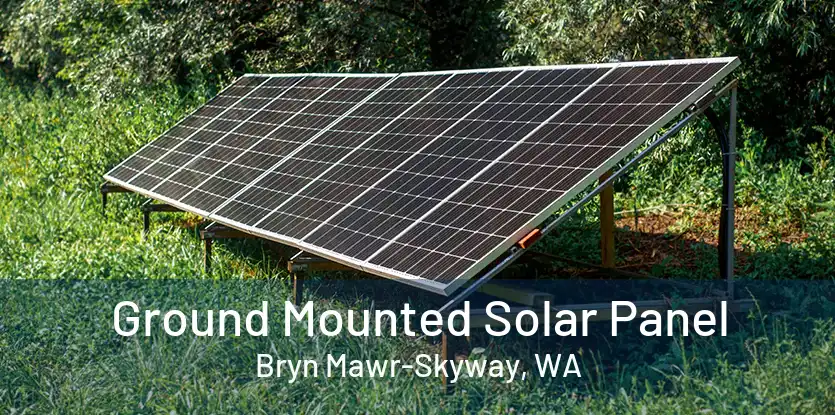 Ground Mounted Solar Panel Bryn Mawr-Skyway, WA