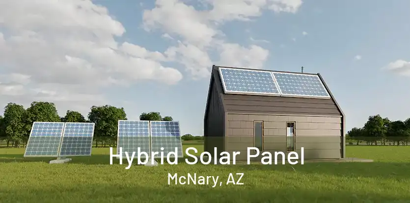 Hybrid Solar Panel McNary, AZ