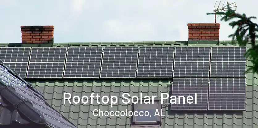 Rooftop Solar Panel Choccolocco, AL
