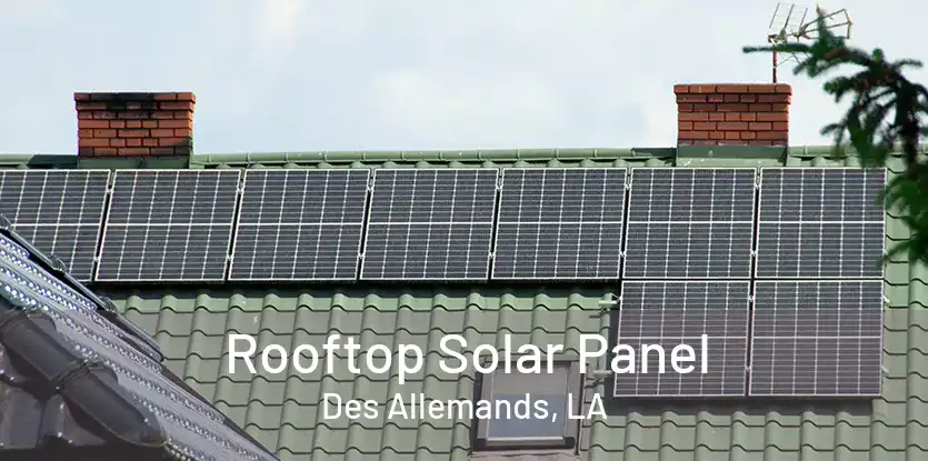 Rooftop Solar Panel Des Allemands, LA