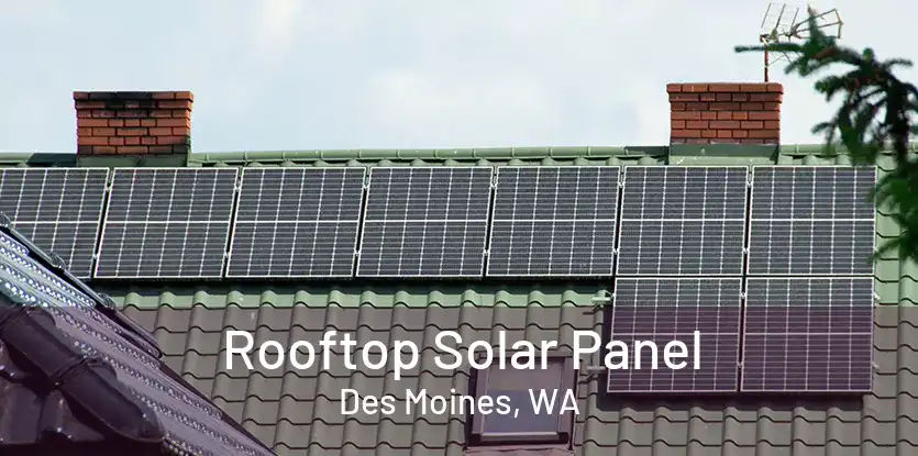 Rooftop Solar Panel Des Moines, WA