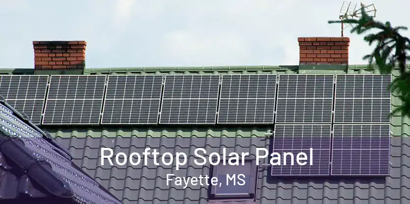 Rooftop Solar Panel Fayette, MS