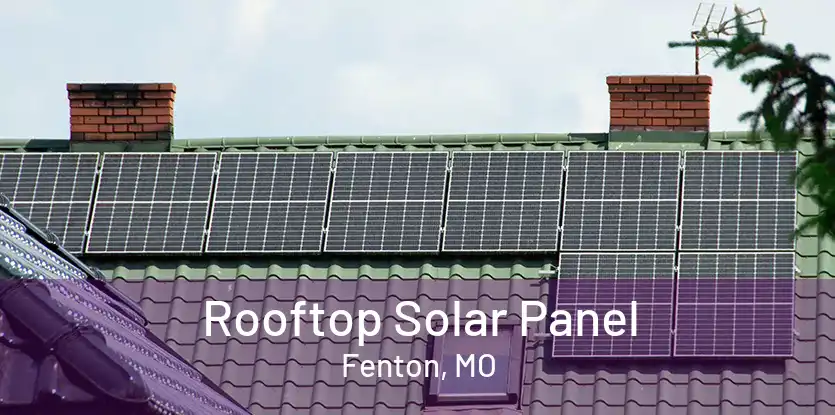Rooftop Solar Panel Fenton, MO