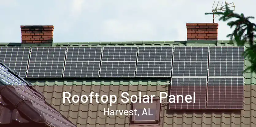 Rooftop Solar Panel Harvest, AL