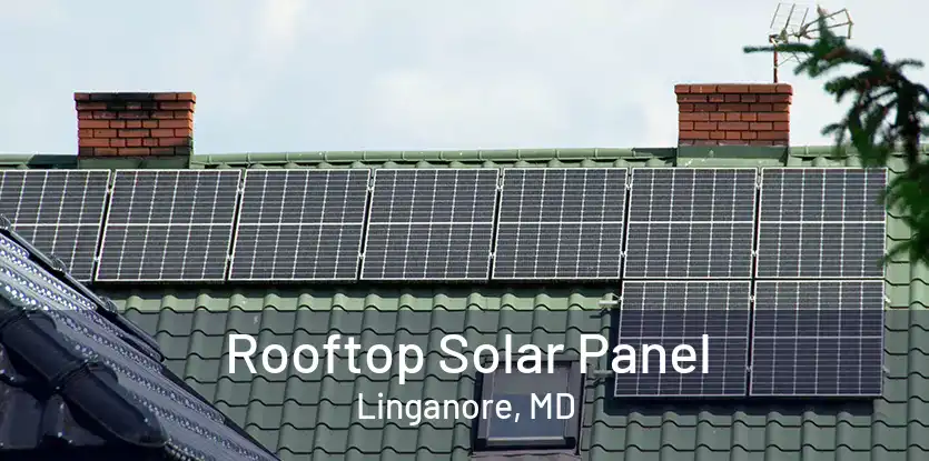 Rooftop Solar Panel Linganore, MD