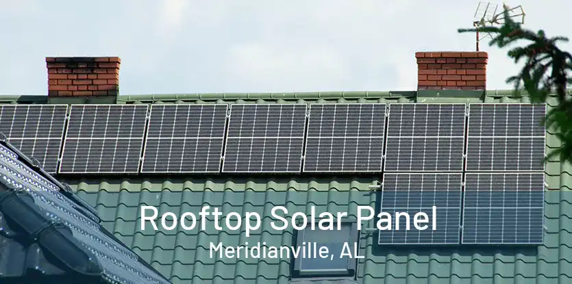 Rooftop Solar Panel Meridianville, AL