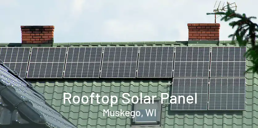 Rooftop Solar Panel Muskego, WI