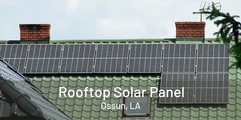 Rooftop Solar Panel Ossun, LA