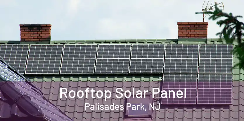 Rooftop Solar Panel Palisades Park, NJ