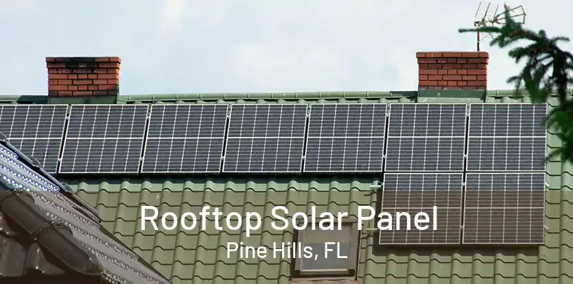 Rooftop Solar Panel Pine Hills, FL