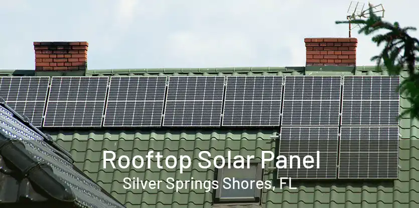 Rooftop Solar Panel Silver Springs Shores, FL