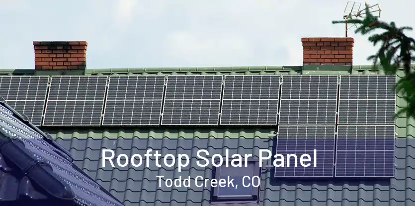 Rooftop Solar Panel Todd Creek, CO