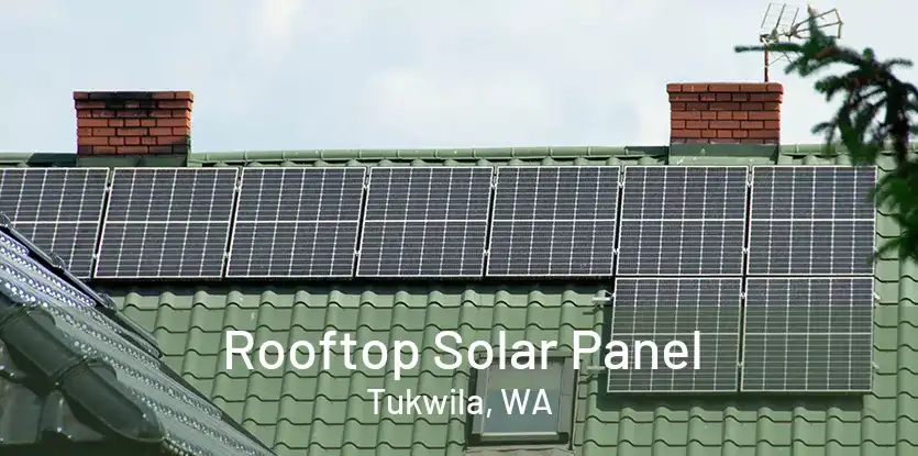 Rooftop Solar Panel Tukwila, WA