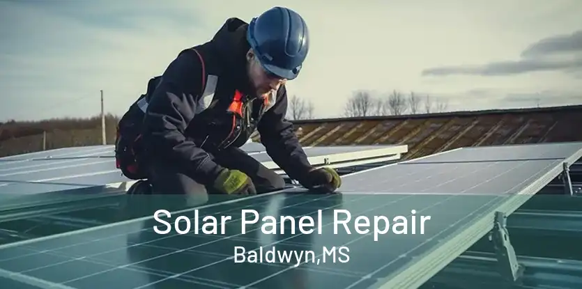 Solar Panel Repair Baldwyn,MS