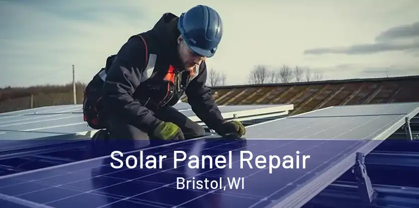 Solar Panel Repair Bristol,WI