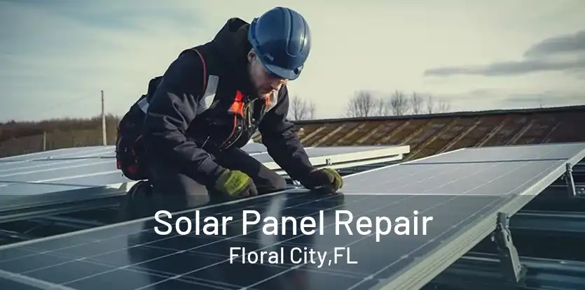 Solar Panel Repair Floral City,FL