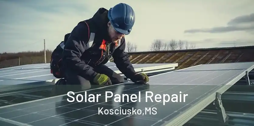 Solar Panel Repair Kosciusko,MS