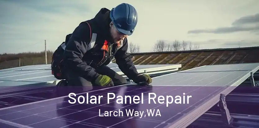 Solar Panel Repair Larch Way,WA