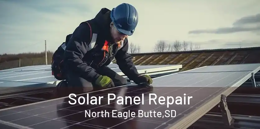 Solar Panel Repair North Eagle Butte,SD
