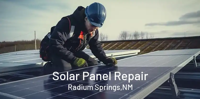 Solar Panel Repair Radium Springs,NM
