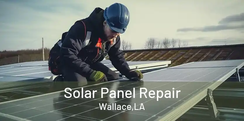 Solar Panel Repair Wallace,LA